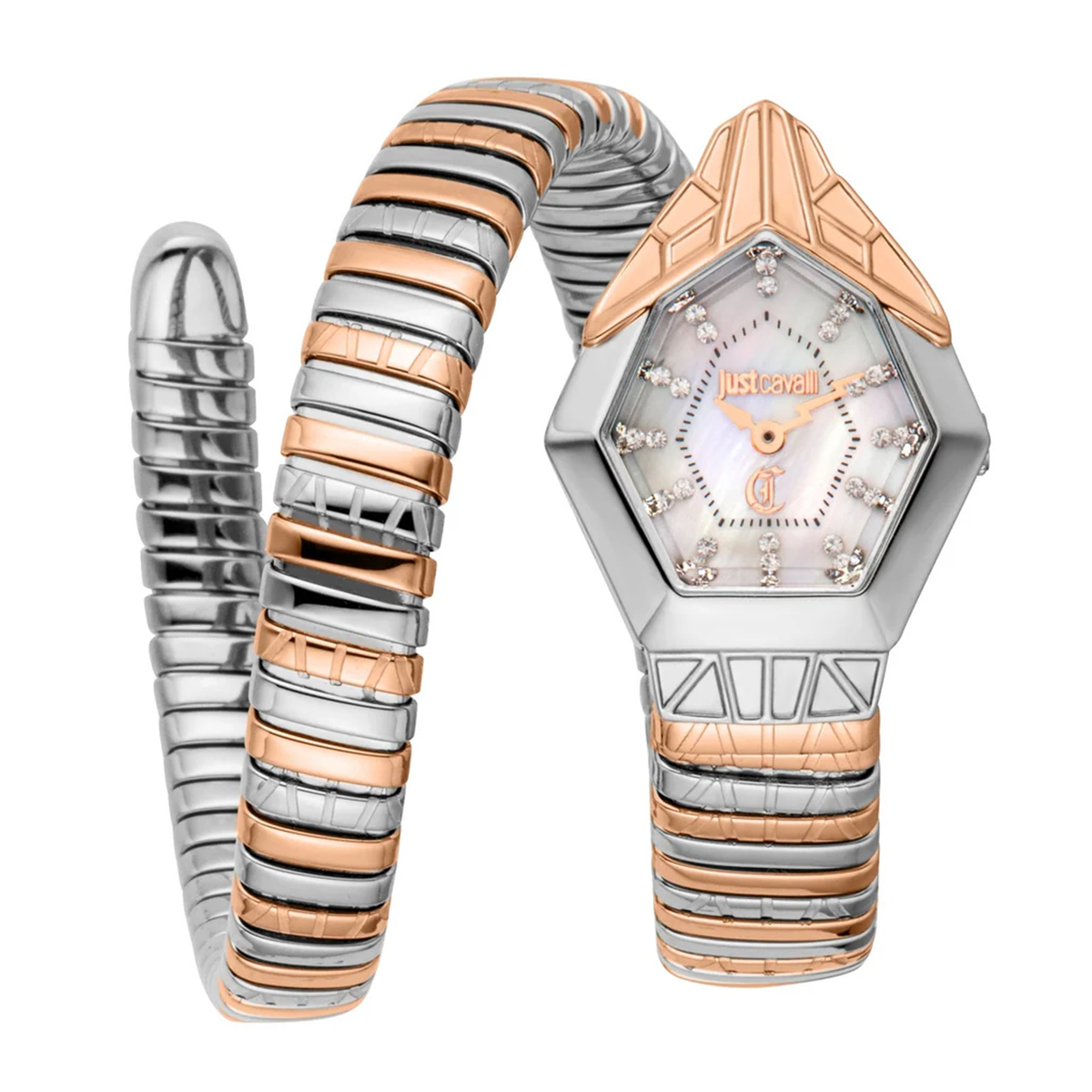 MONTRE JUST CAVALI FEMME SIMPLE ACIER